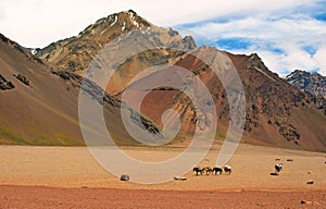 Mountain landscape with horses in front, Argentina