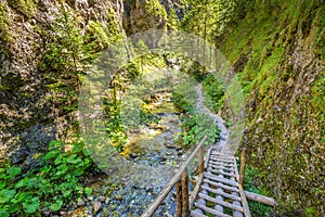 Mountain landscape in the Juranova dolina - valley in The Wester