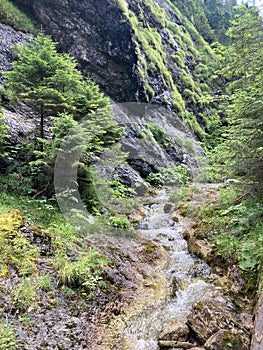 Horská krajina v Juranovej doline - dolina v Západných Tatrách, Tatranský národný park, Slovensko, Európa