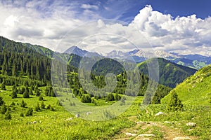 Mountain landscape kok zhailau in the Zaili Alatau