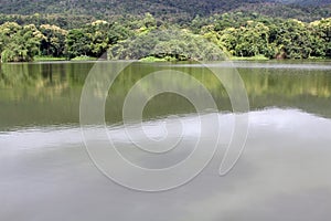 Lake with forest reflection wave and mountain background.