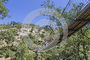 Suspension bridge