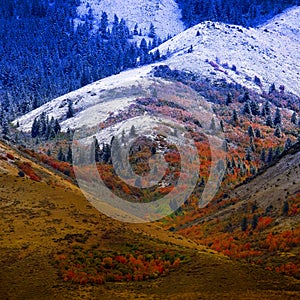 Mountain Landscape in Late Fall with Autumn Colors and First Snow