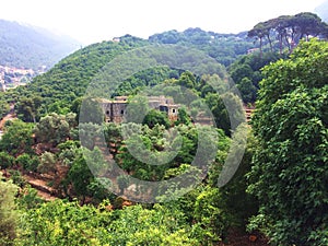 Mountain landscape in Lebanon green forest surrounding an old Monastery Saint Nicolas photo