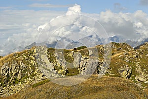 Mountain landscape with a lonely grazing horse