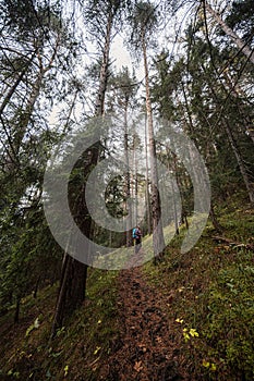 Mountain landscape. Misty forest. Natural outdoor travel background. Slovakia, Low Tatras, Demenovska hora and dolina vyvierania.