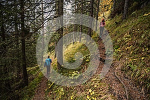 Mountain landscape. Misty forest. Natural outdoor travel background. Slovakia, Low Tatras, Demenovska hora and dolina vyvierania.