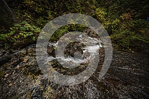 Mountain landscape. Misty forest. Natural outdoor travel background. Slovakia, Low Tatras, Demenovska hora and dolina vyvierania.