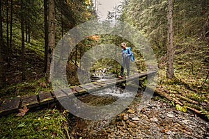 Horská krajina. Mlžný les. Přírodní venkovní cestování pozadí. Slovensko, Nízké Tatry, Demenovská hora a dolina vyvierania.