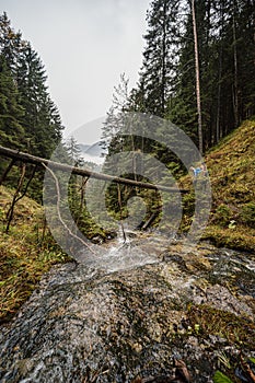 Horská krajina. Hmlový les. Prírodné vonkajšie cestovateľské pozadie. Slovensko, Nízke Tatry, Demenovská hora a dolina vyvierania.