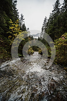 Horská krajina. Mlžný les. Přírodní venkovní cestování pozadí. Slovensko, Nízké Tatry, Demenovská hora a dolina vyvierania.