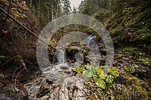 Horská krajina. Hmlový les. Prírodné vonkajšie cestovateľské pozadie. Slovensko, Nízke Tatry, Demenovská hora a dolina vyvierania.