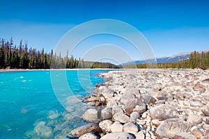 Mountain landscape at the morning. River coast with stones and forest in a mountain valley. Natural landscape with a blue sky and