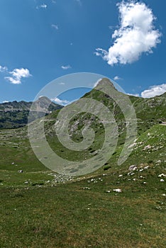 Mountain landscape. Mountains with green grass and bright blue sky. Idyllic panorama. Tourism concept. Hiking. Vacation