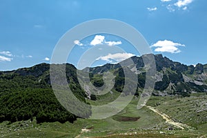 Mountain landscape. Mountains with green grass and bright blue sky. Idyllic panorama. Tourism concept. Hiking. Vacation