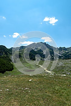 Mountain landscape. Mountains with green grass and bright blue sky. Idyllic panorama. Tourism concept. Hiking. Vacation