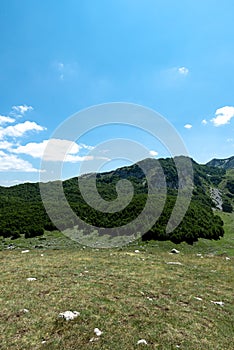 Mountain landscape. Mountains with green grass and bright blue sky. Idyllic panorama. Tourism concept. Hiking. Vacation