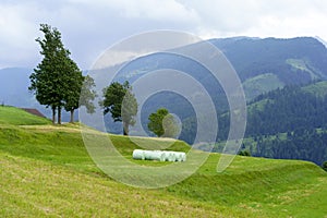 Mountain landscape near Cavalese, in Fiemme valley