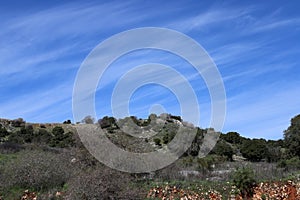 Mountain landscape in northern Israel