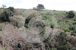 Mountain landscape in northern Israel