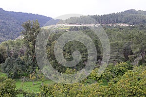 Mountain landscape in northern Israel