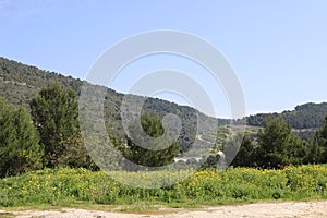 Mountain landscape in northern Israel