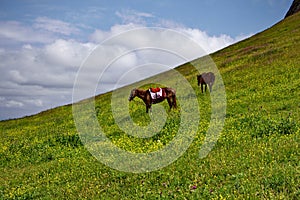 Mountain landscape from the northern region of Azerbaijan, Siazan.