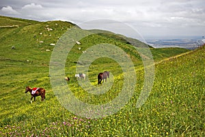 Mountain landscape from the northern region of Azerbaijan, Siazan.