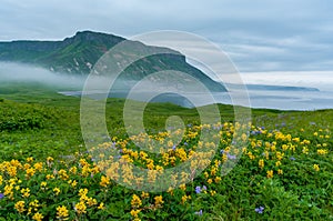 Mountain landscape at Paramushir Island, Kuril Islands, Russia