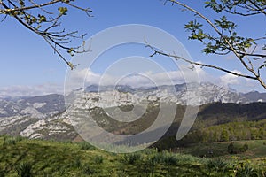 Mountain landscape with peak and cloud on a bright sunny spring day with green vegetation and blue sky in Picos de Europa