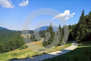 Mountain landscape in Predeal resort, Romania. Trei Brazi.