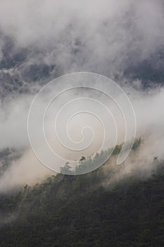 rain clouds over the forest. Mountain landscape. Turkey