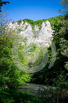 Mountain landscape. River water,  mountain tops. The sun`s rays among the tree branches