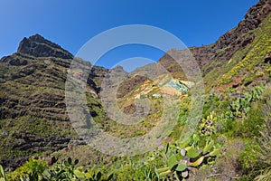 Mountain landscape with rocks and pine trees in Gran Canaria island, Spain