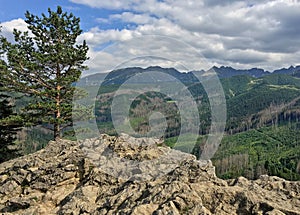 Mountain landscape with rocky cliff and pine tree on the mountainside. View from Mount Nosal, Tatra Mountains. Tatra National Park