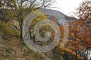 Mountain landscape from Romania