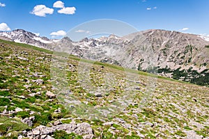 Mountain landscape scenery with blue sky above timberline