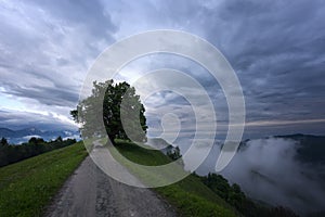 Mountain landscape shortly after spring rain. Slovenian Alps. Forest Road, venerable tree, fog, clouds and peaks. The village of J