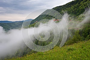 Mountain landscape shortly after spring rain. Slovenian Alps. Forest Road, venerable tree, fog, clouds and peaks. The village of J