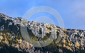 Mountain landscape - snow on the mountain peaks, blue sky , pine forest