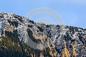 Mountain landscape - snow on the mountain peaks, blue sky , pine forest