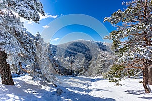 Mountain landscape with snow a sunny day and blue sky. winter photo. Snow storm in the mountains.