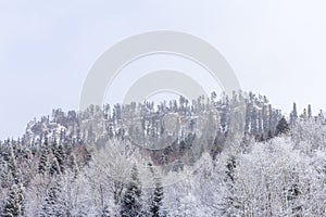 A mountain landscape in a snowy winter, a forest in hibernation, the earth is covered with a snow-white blanket.++