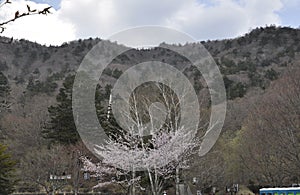 Mountain landscape in spring from Kegon Falls place in Nikko National Park Japan