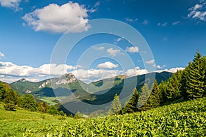 Horská krajina na jaře, národní park Malá Fatra.