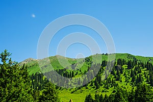 mountain landscape in summer