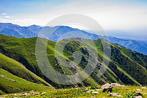 mountain landscape in summer