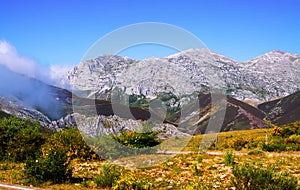 Mountain landscape in summer photo