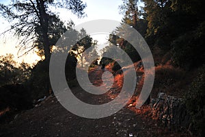 A mountain landscape sunrize in the land of Israel