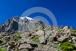 Mountain landscape in Tian Shan, glacier and rocky summits in Ala Archa